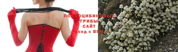 дурь Елизово