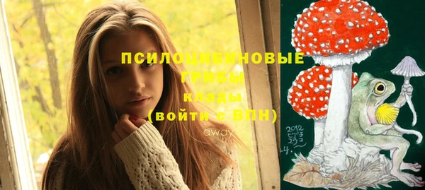 шишки Абинск
