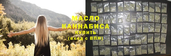 mix Ельня