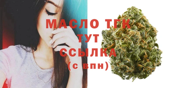 прущие грибы Гусиноозёрск