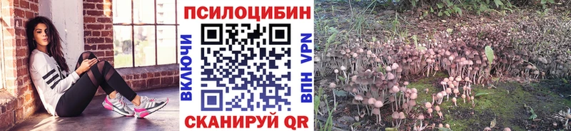 Псилоцибиновые грибы мухоморы  продажа наркотиков  Октябрьский 